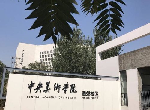 中央美术学院