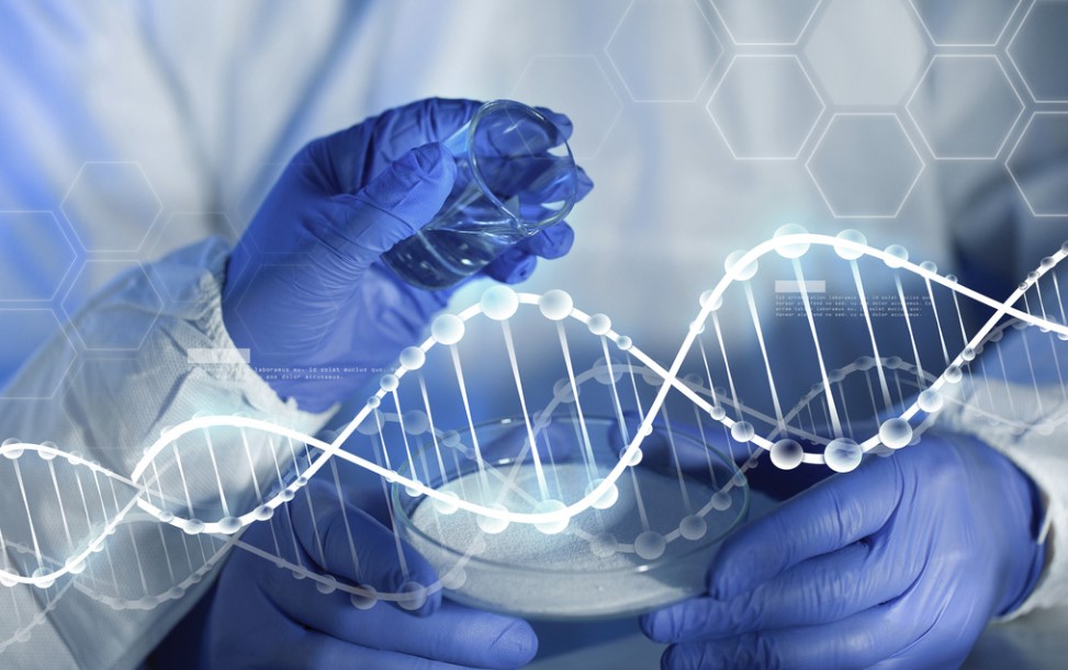 1649321824606748.jpg 1649321824606748.jpg