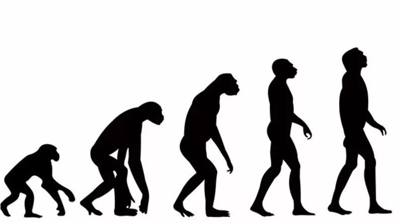 屏幕截图 2022-04-08 091238.jpg