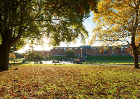 1650436404115910.png 1650436404115910.png