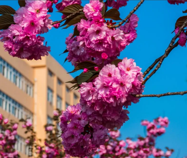 1654139963134117.png 1654139963134117.png