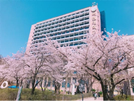 1654151784372655.png 1654151784372655.png